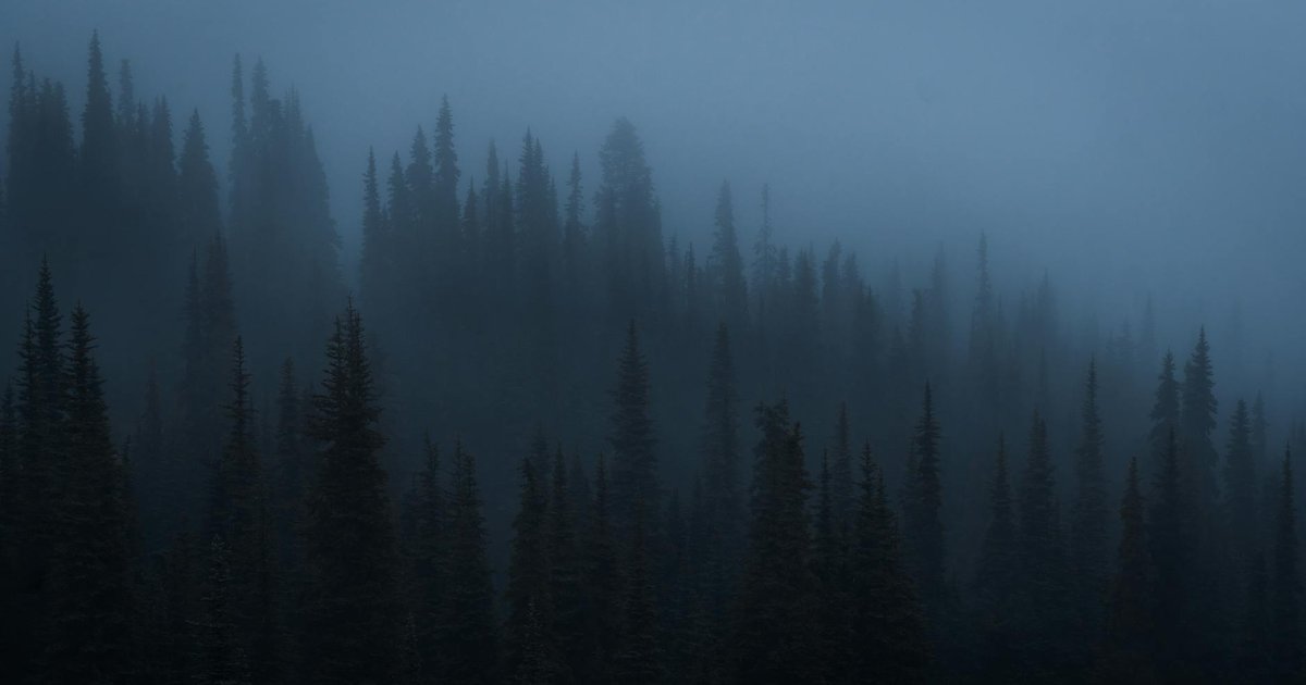 Creatures of the Pacific Northwest